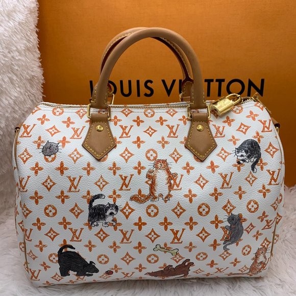 ❌EXCLUSIVE Louis Vuitton Catogram Speedy White Bag - Picture 3 of 14